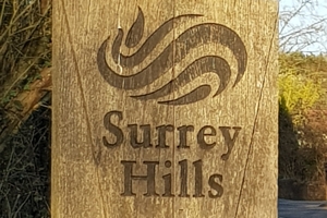 Surrey Hills post marker b4sh